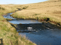 Along the River Llia